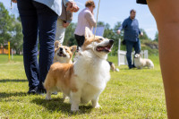 /album/klubova-vystava-10-05-2025/1-33-jpg/